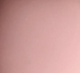 muted pink